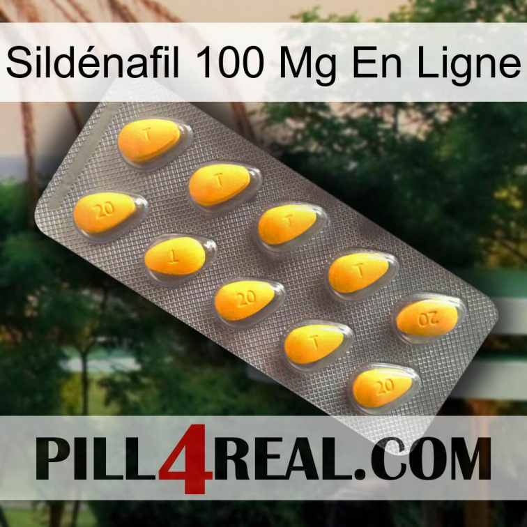 Sildénafil 100 Mg En Ligne cialis1